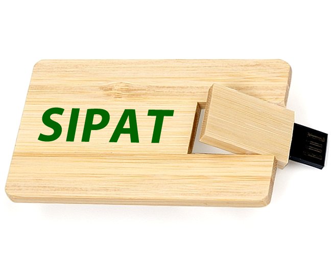 Pen Card Ecológico Bambu 4GB 039 Personalizado